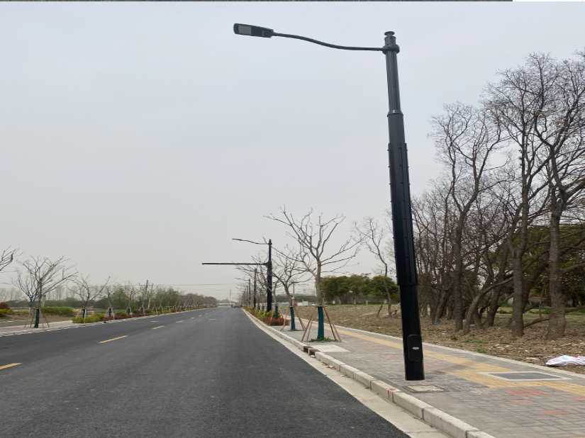 高要区上海综合杆 太阳能路灯工程